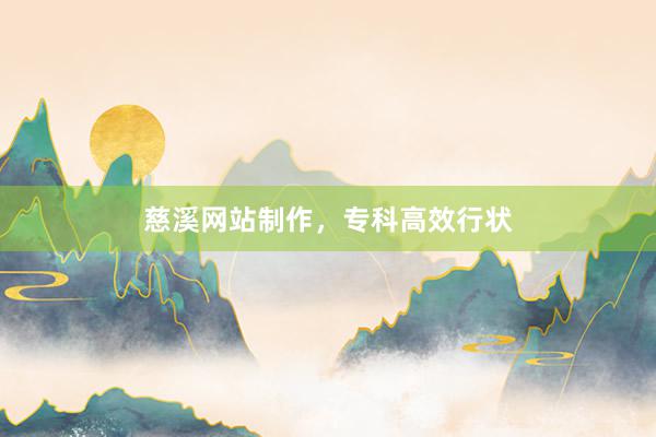 慈溪网站制作,专科高效行状