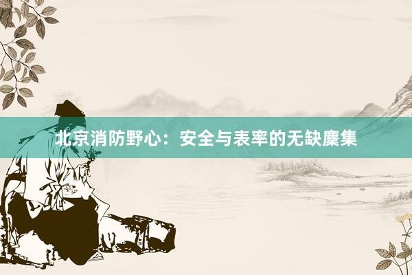 北京消防野心：安全与表率的无缺麇集